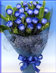 19 adet eşsiz mavi gül buketi  Ulus Ankara online çiçekçi , çiçek siparişi 