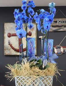 4 dall� �zel mavi orkide  Ulus Ankara �i�ek ma�azas� , �i�ek�i adresleri 