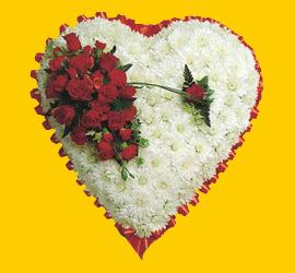  Ulus Ankara �i�ek�i ma�azas�  1.20m x 1.20m  Gerbera G�ller