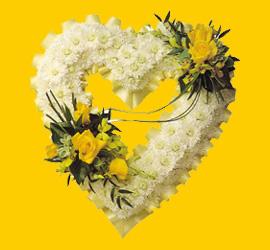  1.20m x 1m  Gerbera - G�ller