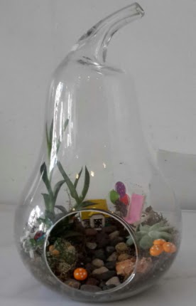 Orta boy cam armut terrarium 