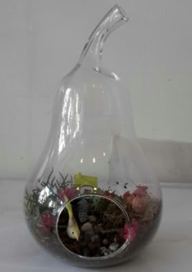 Armut orta boy cam terrarium tanzim 