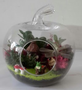 Elma cam orta boy terrarium teraryum 