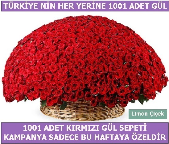 1001 Adet k�rm�z� g�l Bu haftaya �zel 