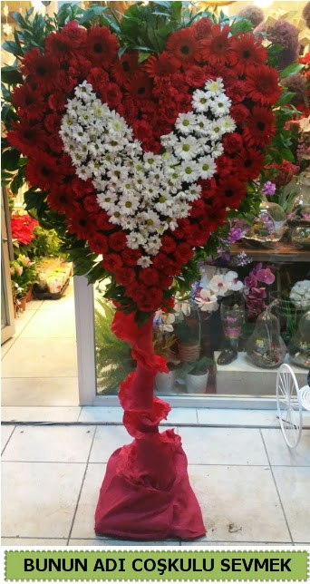 Co�kulu bir a�k �i�e�i 