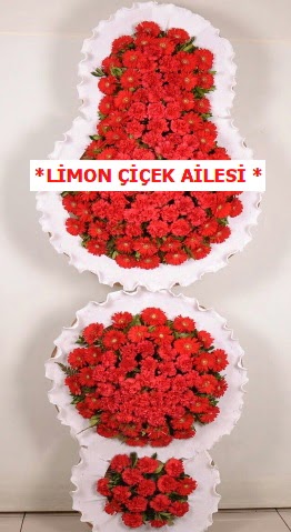 3 katl� k�rm�z� d���n a��l�� �i�e�i 