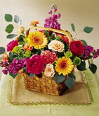  Ulus Ankara yurti�i ve yurtd��� �i�ek sipari�i  Sebboy Gerbera Karanfil tanzim
