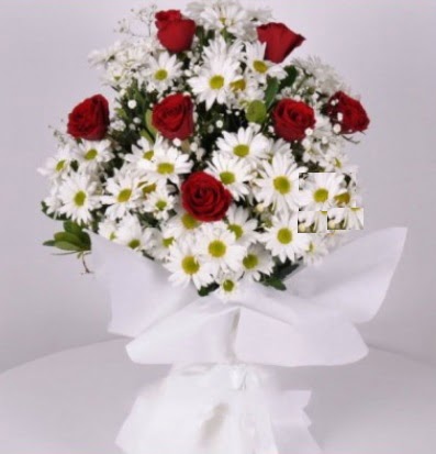 7 adet k�rm�z� g�l ve papatyalar krizantem  Ulus Ankara hediye sevgilime hediye �i�ek 