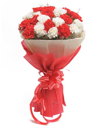 21 adet k�rm�z� beyaz karanfil buketi 
