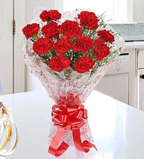 12 adet k�rm�z� karanfil buketi 