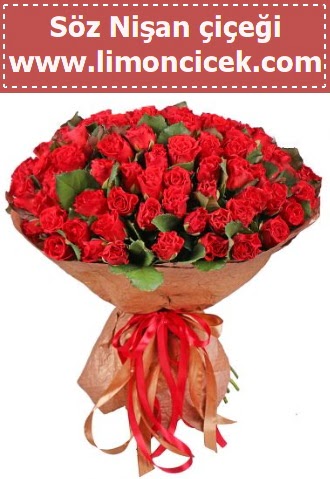 K�z isteme s�z ni�an �i�e�i 101 g�l 