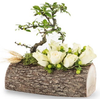 Do�al k�t�kte bonsai a�ac� ve 7 beyaz g�l 