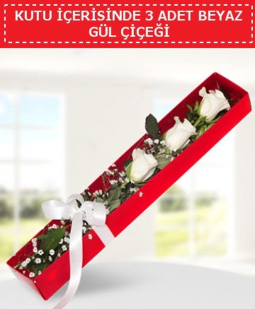 Kutu i�erisinde 3 adet beyaz g�l �i�e�i  Ulus Ankara g�venli kaliteli h�zl� �i�ek 
