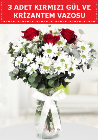 3 k�rm�z� g�l ve camda krizantem �i�ekleri 