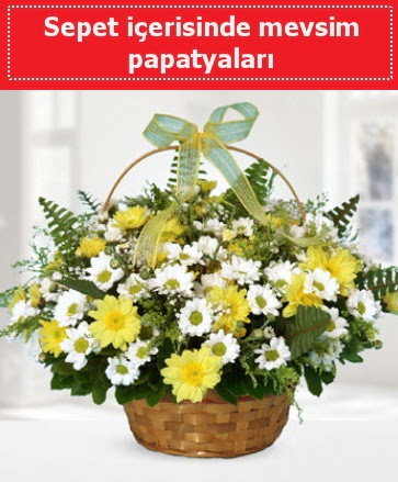 Sepet i�erisinde mevsim papatyalar� 