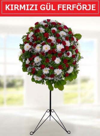 K�rm�z� g�l ferf�rje 40 adet g�l ve gerbera 