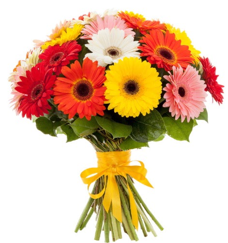 Gerbera demeti buketi 