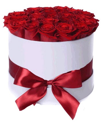 29 adet k�rm�z� g�lden kutu �i�e�i  Ulus Ankara �i�ek , �i�ek�i , �i�ek�ilik 