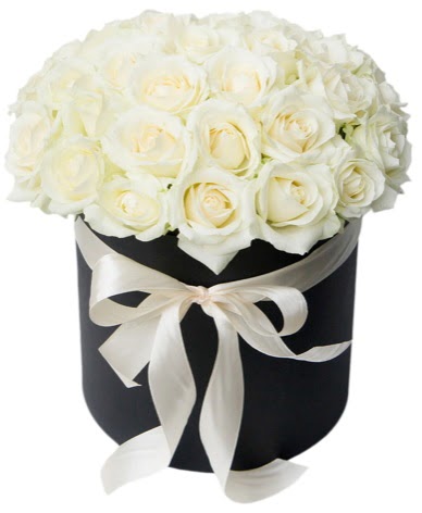 41 adet �zel kutuda beyaz g�l  s�per g�r�nt� 