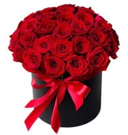 25 adet k�rm�z� g�l k�z isteme �i�e�i  Ulus Ankara hediye sevgilime hediye �i�ek 