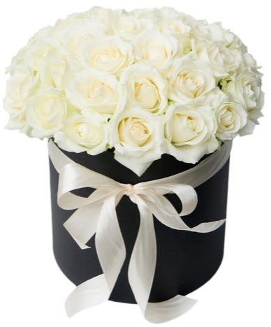 41 adet beyaz g�l kutuda s�z  s�per g�r�nt�