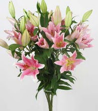  5 Pembe lilyum kazablanka buket �i�ek modeli