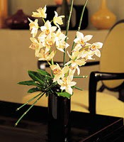  Ulus Ankara çiçek online çiçek siparişi  cam yada mika vazo içerisinde dal orkide