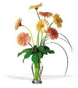  Ulus Ankara hediye �i�ek yolla  cam yada mika vazoda 7 adet gerbera