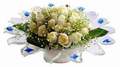 cam g�nes ve dolunay bembeyaz 