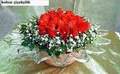 g�nes cam ve kirmizi atesler 