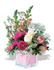 kare mika pembe kum ve �i�ek   Ulus Ankara �i�ek , �i�ek�i , �i�ek�ilik 