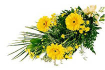 sari gerbera ve sari �i�ek  