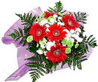 karisik gerbera ve kir �i�egi  