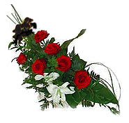 7 adet g�l ve kazablanka  