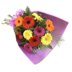 karisik gerbera buketi   Ulus Ankara hediye �i�ek yolla 