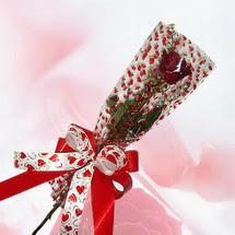 tek bir adet g�l seffafta   Ulus Ankara 14 �ubat sevgililer g�n� �i�ek 