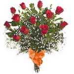 bir d�zine kirmizi g�l buketi  