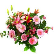 lilyum ve gerbera �i�ekleri - �i�ek se�imi - 