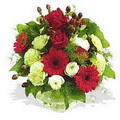 karanfil gerbera ve g�ller - d�s�nenelere �zel - 