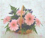gerbera �i�eklerinde sepet  