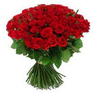 101 adet kirmizi g�l sade 
