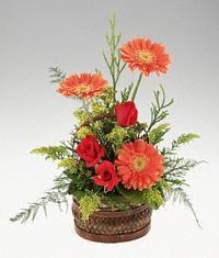  Ulus Ankara yurti�i ve yurtd��� �i�ek sipari�i  sepet i�erisinde 3 g�l ve 3 gerbera tanzimi