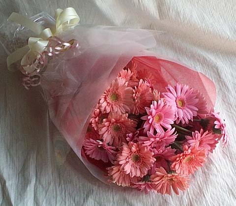 17 adet gerbera buketi  Ulus Ankara g�venli kaliteli h�zl� �i�ek 