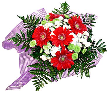 gerbera ve krizantem demeti  Ulus Ankara 14 �ubat sevgililer g�n� �i�ek 