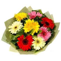 9 adet karisik gerbera demeti  Ulus Ankara �i�ek�i telefonlar� 