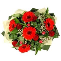   5 adet kirmizi g�l 5 adet gerbera demeti