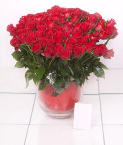  Ulus Ankara g�venli kaliteli h�zl� �i�ek  101 adet kirmizi g�l