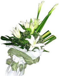  Ulus Ankara �i�ek , �i�ek�i , �i�ek�ilik  3 dal kazablanka �i�egi ve yesillikler