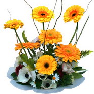camda gerbera ve mis kokulu kir �i�ekleri 