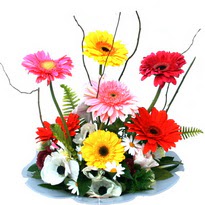  camda gerbera ve mis kokulu kir �i�ekleri 